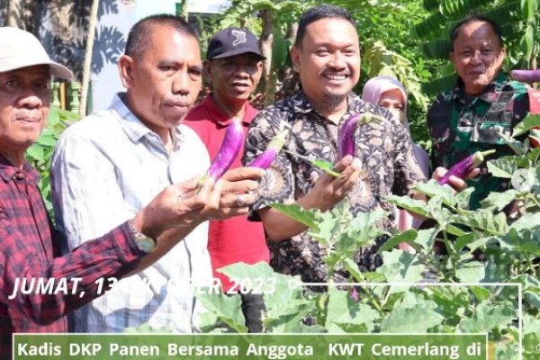 Kadis Ketahanan Pangan Makassar Mahyuddin Bersama Babinkamtibmas Hadiri Undangan Panen Sayuran di Bontoduri