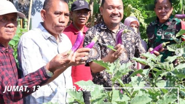 Kadis Ketahanan Pangan Makassar Mahyuddin Bersama Babinkamtibmas Hadiri Undangan Panen Sayuran di Bontoduri