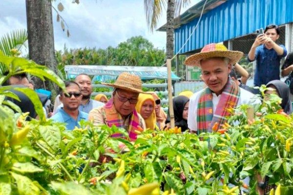 VIDEO: Gebrakan Lorong Wisata yang Di Inisiasi Wali Kota Makassar Danny Pomanto