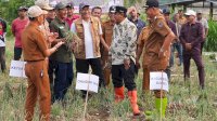 Pemprov Sulsel Bakal Bantu Sumur Bor untuk Petani Enrekang