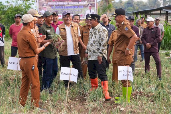 Pemprov Sulsel Bakal Bantu Sumur Bor untuk Petani Enrekang