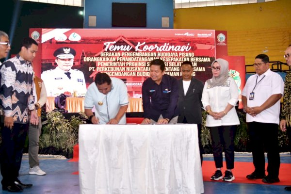 Pemprov Sulsel-PTPN XIV MoU Kerjasama Pengembangan Budidaya Pisang