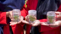 Pemprov Sulsel Siapkan Anggarkan Rp15 Miliar Buat Bangun SMK Spesifik Budidaya Pisang di Bone