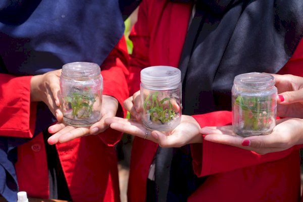 Pemprov Sulsel Siapkan Anggarkan Rp15 Miliar Buat Bangun SMK Spesifik Budidaya Pisang di Bone