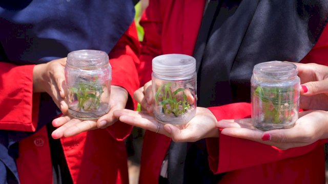 Pemprov Sulsel Siapkan Anggarkan Rp15 Miliar Buat Bangun SMK Spesifik Budidaya Pisang di Bone