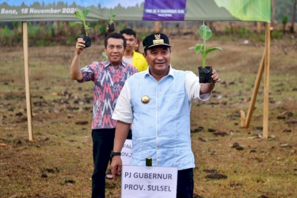 Pj Gubernur Bahtiar dan Rektor IAIN Bone Tanam 1.000 Pohon Pisang Cavendish