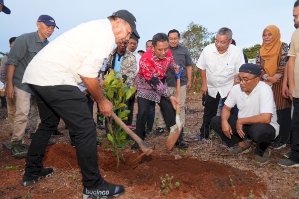Penanaman Bibit Nangka Madu di Bulukumba, Pj Gubernur Bahtiar: Jangan Biarkan Lahan Kosong