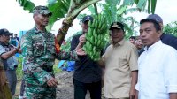 Pj Gubernur Bahtiar Bareng Waka DPRD Sulsel SAR Kunjungi Desa Damai di Sidrap