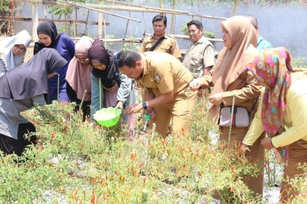 Mahyuddin Panen Cabai Bareng Kelompok Wanita Tani di Kelurahan Bangkala