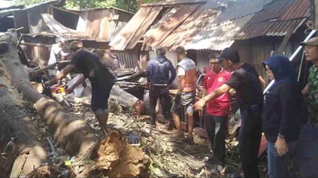 Anggota DPRD Makassar Turun Tangan Tinjau Rumah Warga yang Tertimpa Pohon