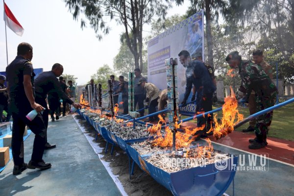 Jutaan Batang Rokok Ilegal di Luwu Dimusnahkan