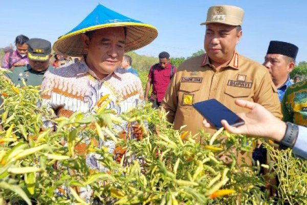 Bupati Chaidir Syam Apresiasi Perhatian Pj Gubernur Bahtiar untuk Kabupaten Maros