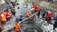 Aksi Heroik Danny Pomanto Turun Langsung ke Kanal Bersihkan Sampah, Antisipasi Banjir di Musim Penghujan