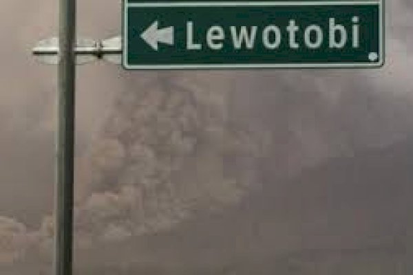 Gunung Lewotobi Laki-laki Erupsi Luncurkan Awan Panas 2 Kilometer