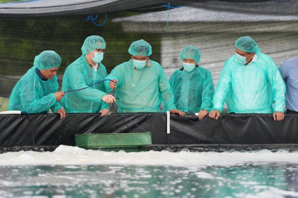 Pemprov Sulsel – PT Bomar Kembangkan Benur Udang untuk Warga Pesisir