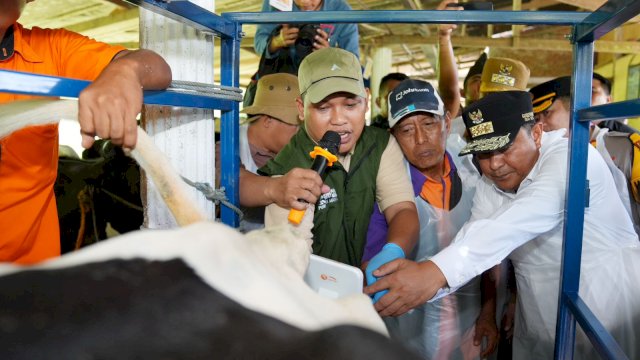Pj Gubernur Sulsel Target Enrekang Jadi Sentral Sapi Perah