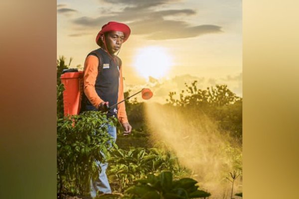 Petani Milenial Sidrap Syaharuddin Alrif Raih Suara Terbanyak DPRD Sulsel, Capai 80.000