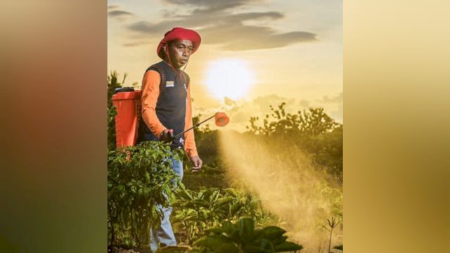 Petani Milenial Sidrap Syaharuddin Alrif Raih Suara Terbanyak DPRD Sulsel, Capai 80.000