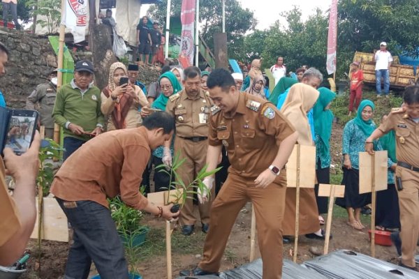 Bupati Pangkep Yusran Serahkan Bantuan Beras-Penanaman Bibit di Desa Biringare