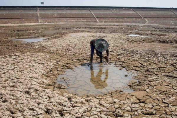 BMKG: Puncak Musim Kemarau Terjadi pada Juli-Agustus