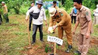 Selain di Rammang-Rammang, Bupati Maros Bersama Pj Gubernur Sulsel Lakukan Penanaman Pohon Sukun di TWA Bantimurung