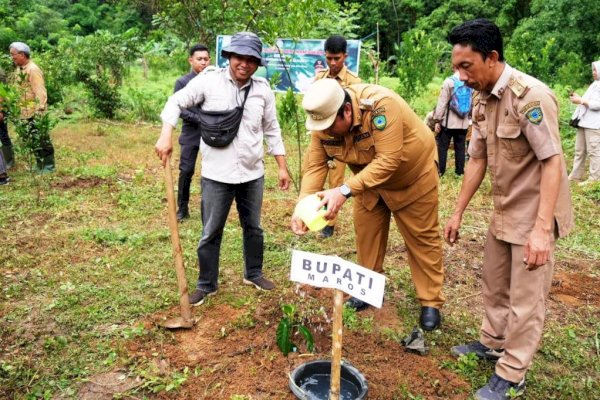 Selain di Rammang-Rammang, Bupati Maros Bersama Pj Gubernur Sulsel Lakukan Penanaman Pohon Sukun di TWA Bantimurung