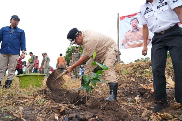 Dorong Skala Industri, Pj Gubernur Bahtiar Galakkan Penanaman 2 Juta Pohon Nangka Madu di Sulsel