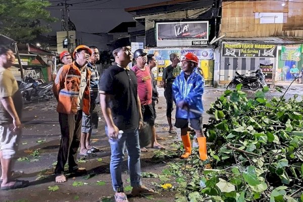 Camat Mamajang Andi Irdan Tinjau Langsung Lokasi Pohon Tumbang di Sambung Jawa