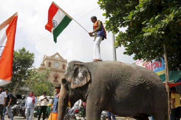 Gelombang Panas di India Tewaskan 9 Orang