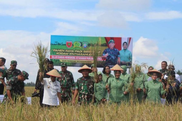 Dukung Ketahanan Pangan, Pangdam XIV Hasanuddin Panen Padi di Mandalle