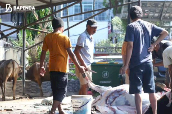 Momentum IdulAdha 1445 H, Bapenda Kota Makassar Gelar Pemotongan Hewan Kurban