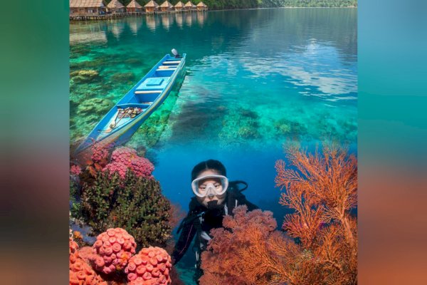 Jelajahi “Surga Tersembunyi” di Indonesia Timur dengan Rute Baru Transnusa