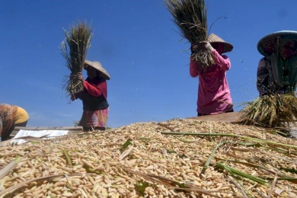 NasDem Desak Pemerintah Serius Atasi Masalah Pangan