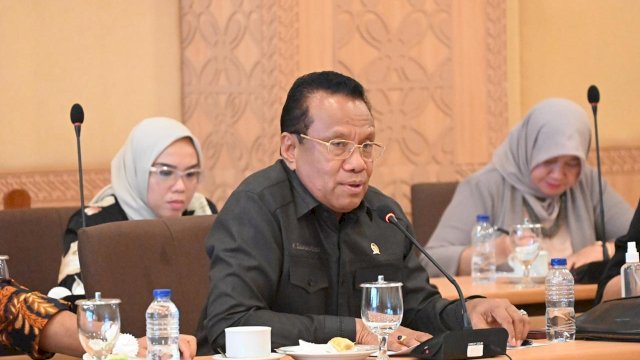 Anggota Komisi IV DPR dari Fraksi Partai NasDem Sulaeman L Hamzah.