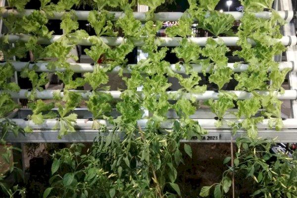 Akademisi UNM Apresiasi Replika Lorong Wisata Dihadirkan di F8 Makassar