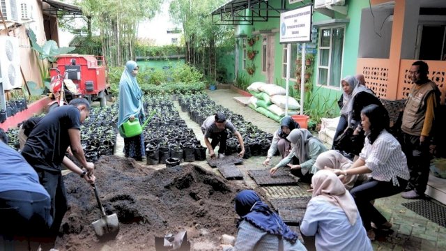 Penanaman Cabaik Jajaran Kecamatan Tamalanrea.