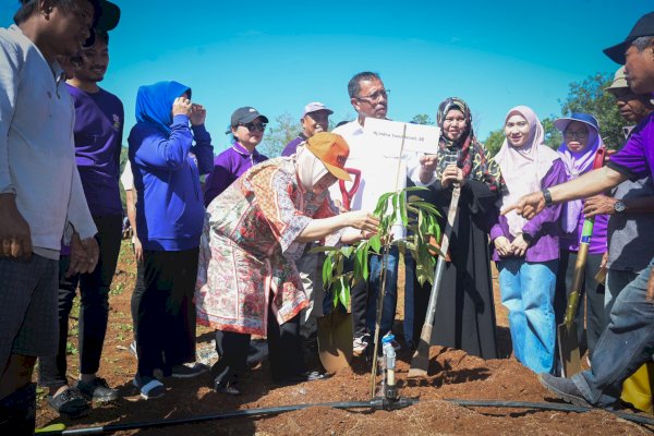 Indira Yusuf Ismail Ikut Tanam Pohon Peringati HUT ke 87 Keluarga HIKMA Enrekang