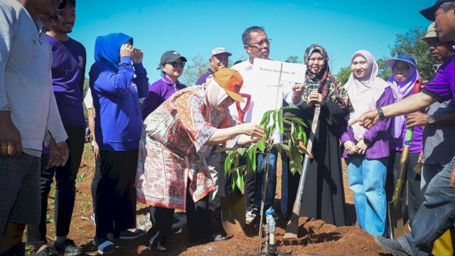 Indira Yusuf Ismail Ikut Tanam Pohon Peringati HUT ke 87 Keluarga HIKMA Enrekang.