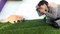Fotografi Fauna di Event F8: Tantangan dan Keindahan yang Tak Terlupakan