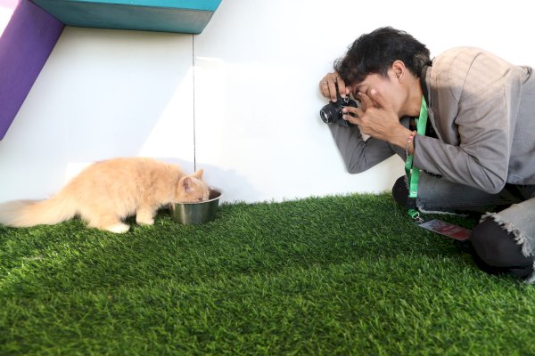 Fotografi Fauna di Event F8: Tantangan dan Keindahan yang Tak Terlupakan