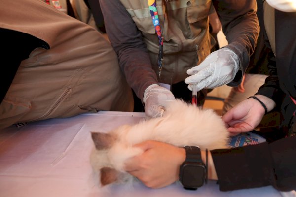 Zona 5 F8, Sediakan Free Vaksinasi Rabies Untuk Hewan Kesayangan