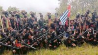 KKB Pimpinan Egianus Kogoya Tembak Mati Pilot di Mimika, Papua Tengah
