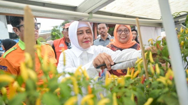 Indira Yusuf Ismail Pantau Perkembangan Longwis Sydney, Beri Dukungan untuk Peningkatan Potensi Wisata