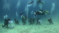 Kibarkan Bendera Merah Putih di laut, Bank Sulselbar Dive Club terus Bangun Awareness