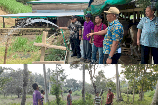 Verifikasi calon kelompok penerima bantuan &#8220;Kegiatan Kampung Ternak&#8221; di Kabupaten Barru