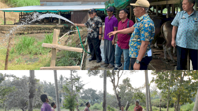 Verifikasi calon kelompok penerima bantuan "Kegiatan Kampung Ternak" di Kabupaten Barru 