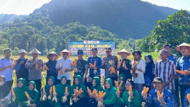 Sukseskan Program Ketahanan Pangan, Dandim 1421/Pangkep Melaksanakan Panen Raya Jagung