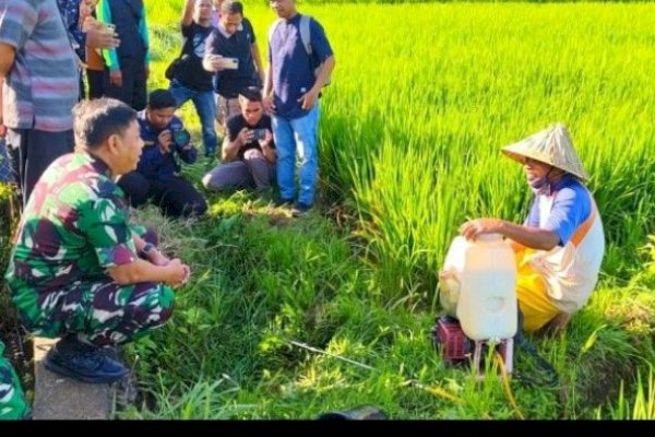 Wujudkan Swasembada Pangan Nasional, Pangdam XIV/Hasanuddin Tinjau Lokasi Pompanisasi Sawah Tadah Hujan di Pangkep