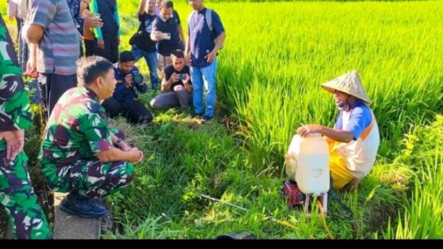 Wujudkan Swasembada Pangan Nasional, Pangdam XIV/Hasanuddin Tinjau Lokasi Pompanisasi Sawah Tadah Hujan di Pangkep