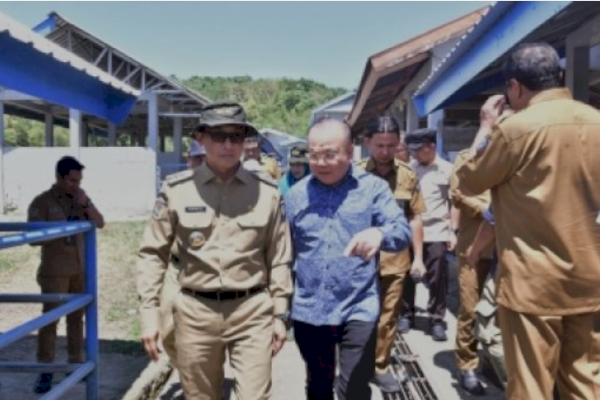 Pj Gubernur Sulsel Puji Pembibitan Ternak Unggulan Pucak Maros, Siap Penuhi Kebutuhan Nasional